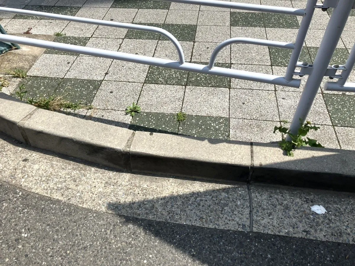After写真