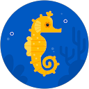 T O profile picture