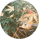 りゅねこ profile picture